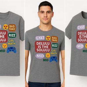 delulu is the solulu – men’s premium grey tee